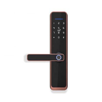 Het elektrische van het de Deurslot van Tuya APP Slimme Wifi Slot van de de Vingerafdrukdeur Digitale Biometrische