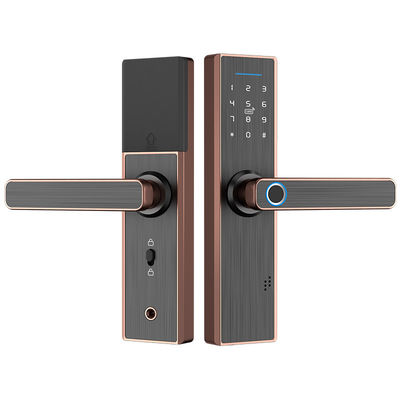 Touchscreen het Slot van de de Ingangsdeur van Vingerafdrukwifi met Handvatslot Gemakkelijk om voor Huishotel te installeren