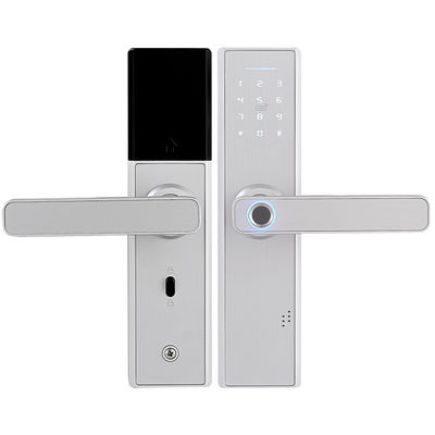 Touchscreen het Slot van de de Ingangsdeur van Vingerafdrukwifi met Handvatslot Gemakkelijk om voor Huishotel te installeren